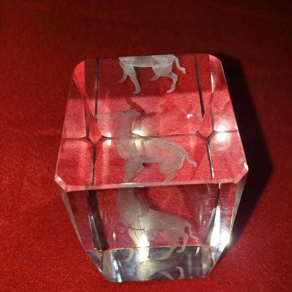 Giraffe Laser Cut Etched Crystal Glass Cube Paper Weight 3D - Picture 5 of 7